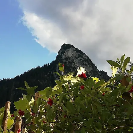 'sissi' Ein Zaubehaftes Im Modernen Landhausstil * Oberammergau